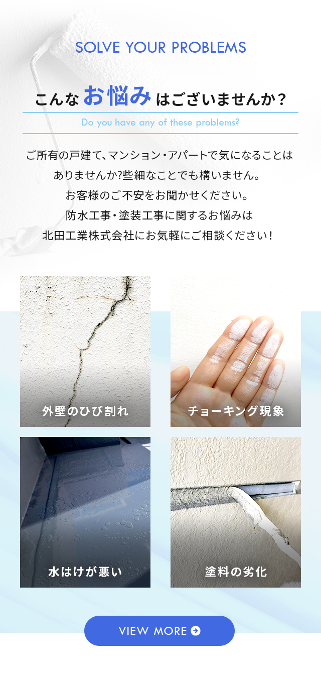 sp_body_bg